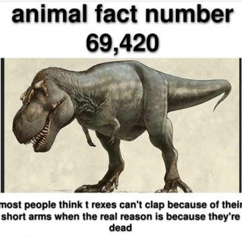 30+ Random Memes That Are Too Good To Be True - Memebase - Funny Memes