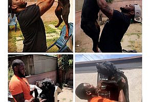 32 Of The Greatest Dogs To Have Graced The Internet So Far In 2018