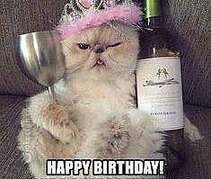 20 Cat Birthday Memes That Are Way Too Adorable | SayingImages.com