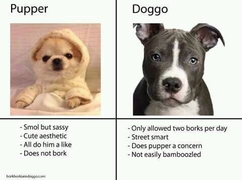 39 Random Memes That'll Take Your Pain Away - Memebase - Funny Memes
