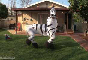 Es un GIF muy gracioso (scheduled via www.tailwindapp.com)