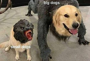 48 Great Pics and Funny Memes for Your Enjoyment - Funny Gallery