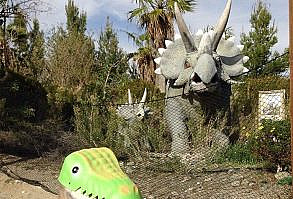 10+ Of The Happiest Dog Memes Ever That Will Make You Smile From Ear To Ear