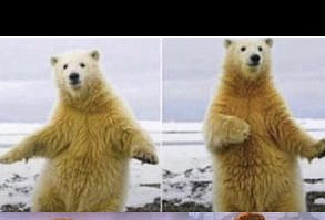 58 Funny Pics and Memes For a Leisurely Scroll - Funny Gallery