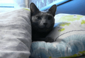 A psicologia revela: 6 sinais de que você vive com um psicopata!