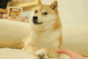 68 GIFs That Prove You've Had Enough Internet For Today