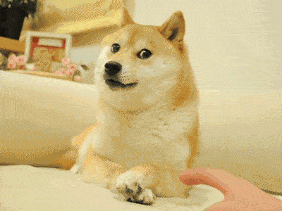 68 GIFs That Prove You've Had Enough Internet For Today