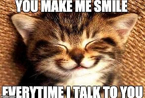 85 Happy Memes to Brighten Your Day and Make You Smile