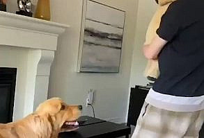 9GAG ❤️ Memeland on Twitter: