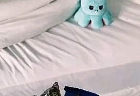 Nota gente esa especie cuando esta enojada muerde