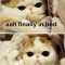 Animals Expressing Every Pregnant Women's Feelings (15 Memes) - I Can Has Cheezburger?