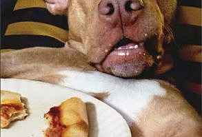 Birthday Card Inside: Whole foods are best. I recommend a whole pizza followed by a whole cake! Happy Birthday Made in USA