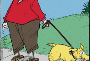 Ballard Street November 12, 2016