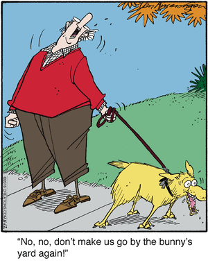 Ballard Street November 12, 2016