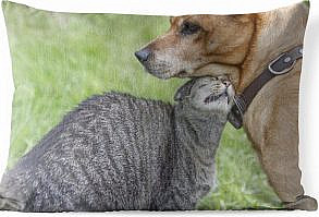 Kat geeft hond een kopje. De dieren staan in het gras. Op zoek naar een uniek tuinkussen voor jouw loungeset? Zoek niet verder, PillowMonkey heeft een groot aanbod aan luxe sierkussens voor buiten! Onze kussens zijn op zowel de voorkant als op de achterkant voorzien van een unieke fotoprint die je nergens anders ziet. De kussens zijn gemaakt van polyester, waardoor de kussens perfect zijn voor buiten. Ook in de zon blijven onze kussens lang mooi, zodat je jaren kan genieten van jouw unieke tuinkussen.  Over de tuinkussens met foto  Het kussen i