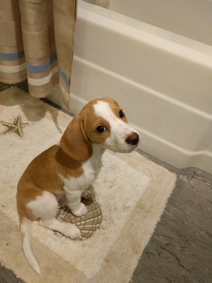 But Dad I don't want a bath :(