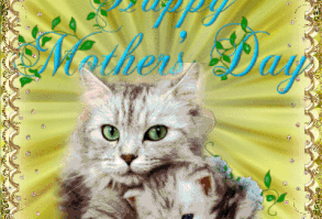 Cat & Kitty Happy Mother's Day Gif quotes quote cat mom mothers day gifs mother gif kitty happy mothers day mothers day quotes happy mothers day quotes mothers day images happy mothers day images mothers day gifs happy mothers day gifs beautiful mothers day quotes mothers day blessings best mothers day quotes special mothers day quotes mothers day 2021 mothers day quotes for 2021