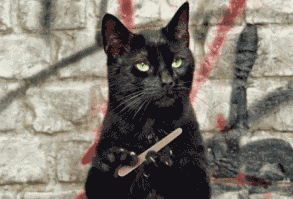 Go ahead...make my day...