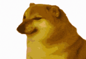 Cheems Doggo GIF - Cheems Doggo Doggo Meme - Discover & Share GIFs