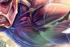 One of the nine titans the Colossal Titan is the most powerful