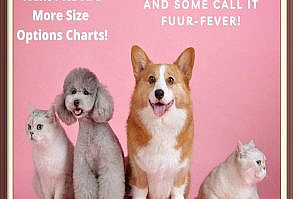 Easy on and off in pullover style, Keep your pet more lovely, stylish fashion and difference ● Fabric: Scuba(95% polyester and 5% Spandex). ● Regular Fit ● Vest design ● Fabric weight: 230g/m². ● Care Instruction: machine wash cold with similar colors, do not bleach, tumble dry low, do not iron, do not dry clean.