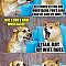 Dad Joke Doge | IF IT WERE'NT FOR THE MOUSTACHE, YOU'D LOOK EXACTLY LIKE MY WIFE . . . BUT I DON'T HAVE MOUSTACHE ! YEAH, BUT MY WIFE DOES. WHAT ARE YE THIN | image tagged in dad joke doge | made w/ Imgflip meme maker