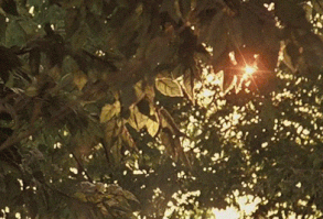 Daddy but Childish ; [Mark Lee]