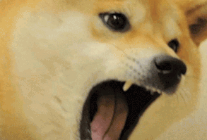 Doge Doge Gif GIF - Doge DogeGif CuteDoge - Discover & Share GIFs