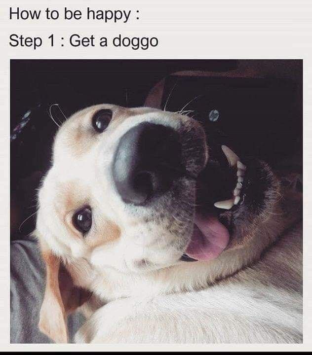 #funnypictures #funnyquotes #funnyjokes #funny #funnywallpaper 