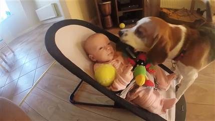 Aww! Watch this apologetic dog shower baby with gifts