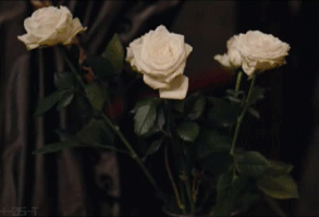 En Çok Görülen Çiçek Hastalıkları ve Tedavi Yöntemleri