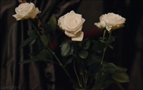 En Çok Görülen Çiçek Hastalıkları ve Tedavi Yöntemleri