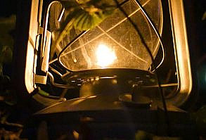 The pleasant atmosphere of spring forest nature and sounds has a positive effect on the nervous system. Many people use bird calls as background sounds or as white noise when doing yoga or meditation.