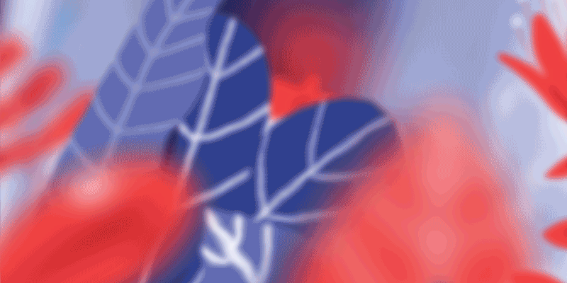 Forest Lady animation