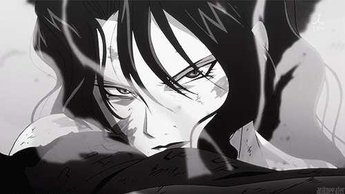 Gifs - Full Metal Alchemist Photo (32853689) - Fanpop