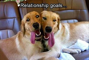 Funny Animal Pictures Of The Day – 23 Pics