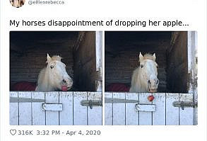 30 Hilarious Tweets That Prove Brits Have Kept Their Sense Of Humor During The Quarantine