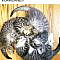 Funny Cat refrigerator magnet 3 1/2 x 3 1/2