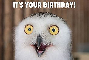 Funny happy birthday image with owl.