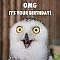 Funny happy birthday image with owl.