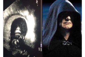 Funny Memes Of The Day To Make Your Laugh (48 Pics)