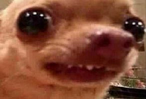 Google Image Result for i.pinimg.com/...