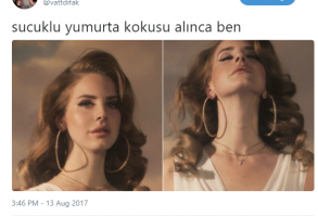 Güldürürken Acıktıran Son Zamanların En Eğlenceli 16 Tweet'i - Yemek.com