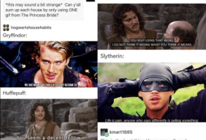 Princess Bride quotes/ House comparison pt 4 | Harry potter pics