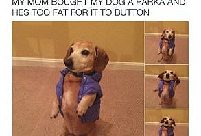 He Might Need To Lay Off The BegginBits