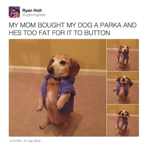 He Might Need To Lay Off The BegginBits