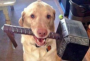 He's Here To Break It Down For Us