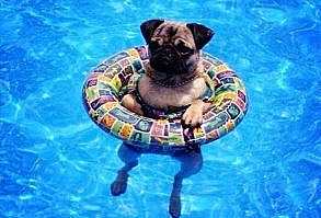 Hey @Josie Williams ....It's a floating