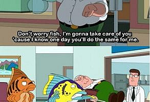 Oh Peter...