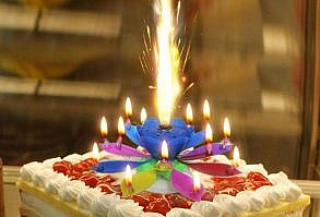 SPECIFICATIONSUse: BirthdaysType: Art CandleShape: FlowerProduct: Candle LampOrigin: CN(Origin)Model Number: Birthday CandleMaterial: Paraffin WaxHandmade: YesFeature: Music Name: Double-layer 14 peppermint Birthday Candle Music peppermint CandleShape: flower shape, rotatableMaterial composition: The main ingredient is paraffin, which melts into a liquid when heated, and is slightly volatile when heated. It can smell the unique odor of paraffin, and solidifies into a solid when it is cold, which is harmless to the